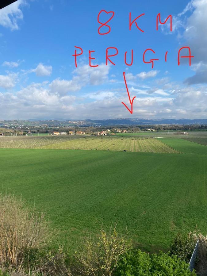 Appartamento A Torgiano Centro Bagian luar foto